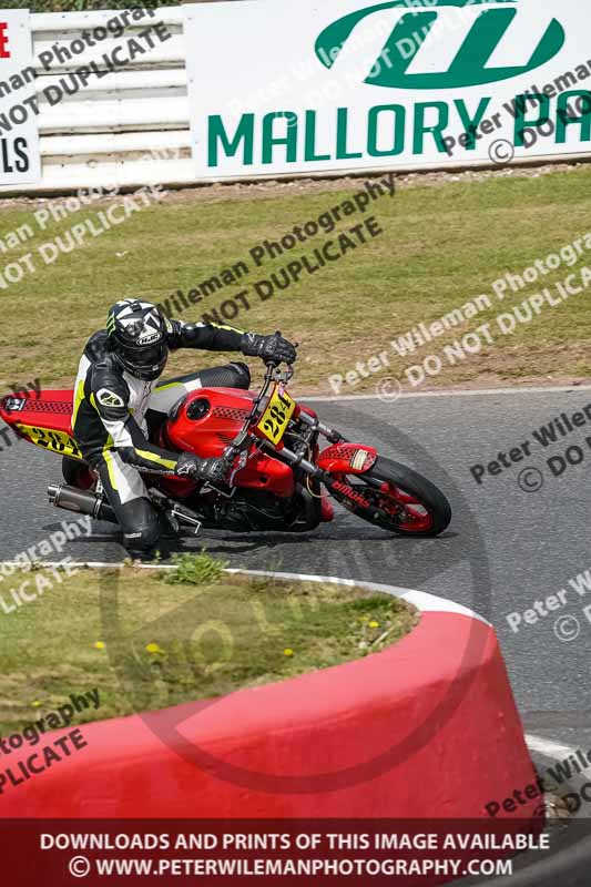 enduro digital images;event digital images;eventdigitalimages;mallory park;mallory park photographs;mallory park trackday;mallory park trackday photographs;no limits trackdays;peter wileman photography;racing digital images;trackday digital images;trackday photos